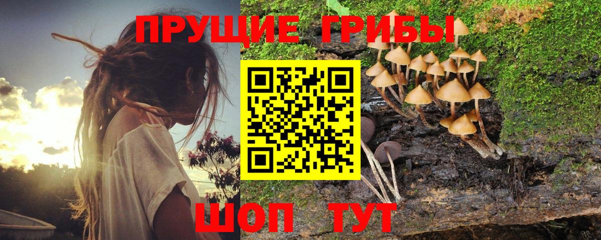 Галлюциногенные грибы Magic Shrooms Бузулук